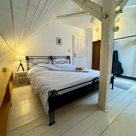Vidim Villa Dolni Vidim