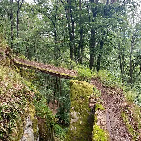 Vidim Villa Dolni Vidim
